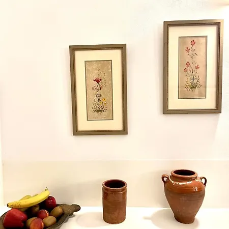 Ampelonas * Andíparosz